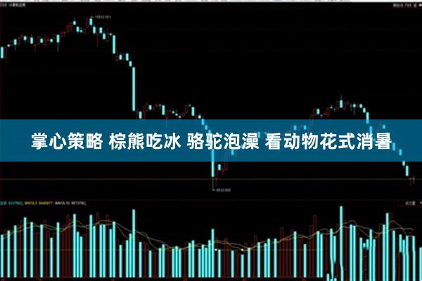 掌心策略 棕熊吃冰 骆驼泡澡 看动物花式消暑